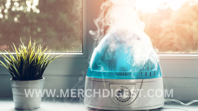 best-humidifiers-review